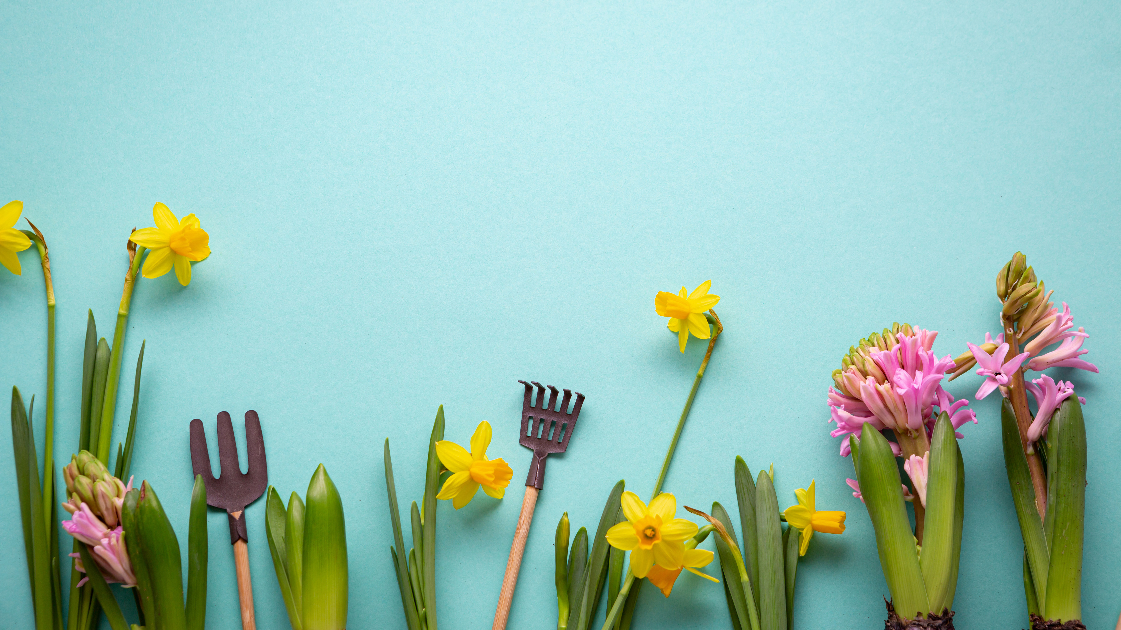 Activity Ideas for Spring